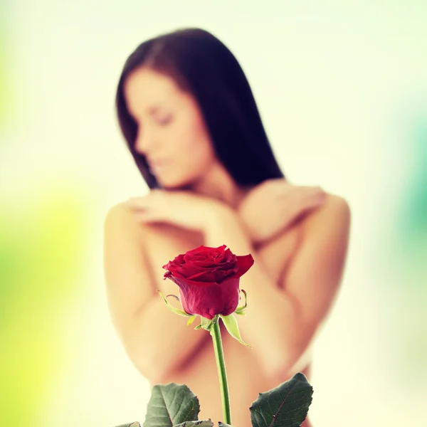 Red rose — Stock Photo, Image