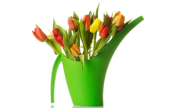 Bouquet di tulipani vivi freschi . — Foto Stock