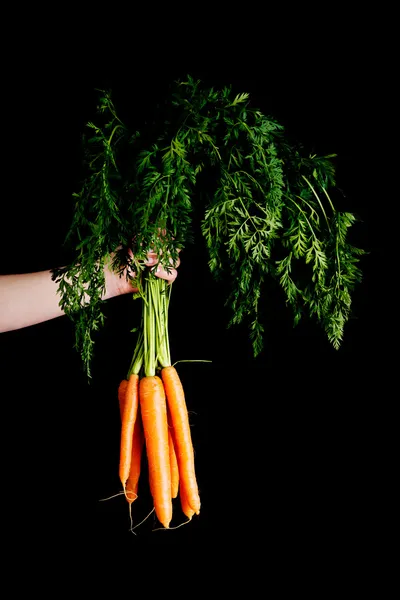 Bunch of fresh raw carrots. — Stock Photo, Image