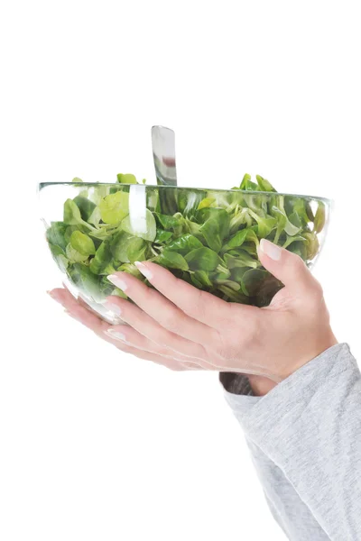 Fresh, green lettuce in a glass bowl. — Stock Photo, Image