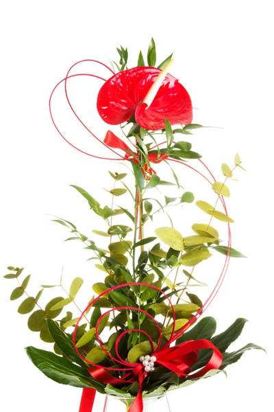 Красный свежий цветок в зеленом букете . — стоковое фото