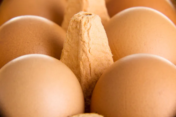 Close up on raw eggs — Stock Photo, Image