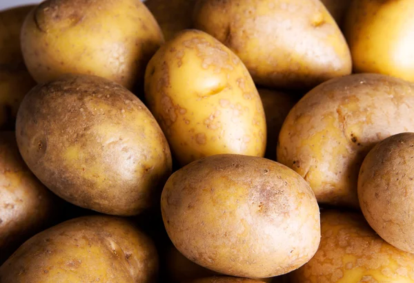 Fresh potatoes. — Stock Photo, Image