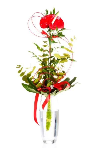 One red fresh flower in a wase. — Stock Photo, Image