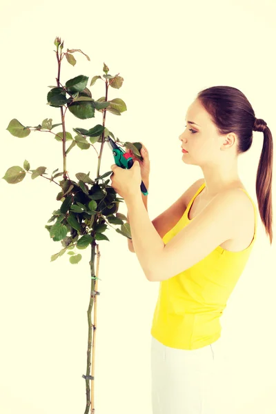 Gardener with pruning scissors. — Stock Photo, Image