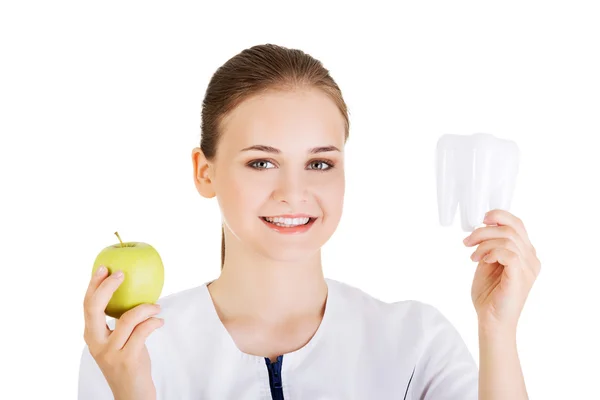 Doctor with tooth and apple. — Stock Photo, Image