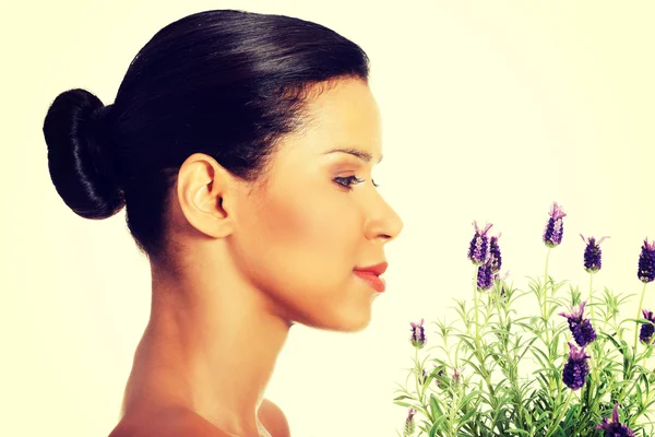 Woman with lavender plant — Stock Photo, Image