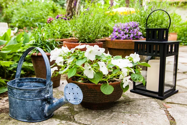 Stillleben im Garten — Stockfoto