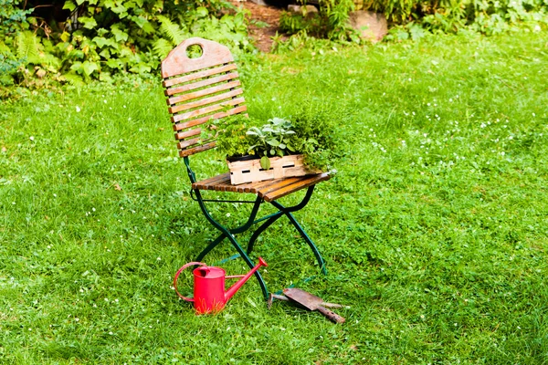 Korb mit Kräutern im Garten — Stockfoto