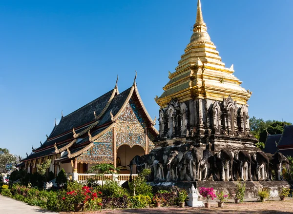 Wat Chiang Man, Chiang Mai, Thailand — Stok Foto