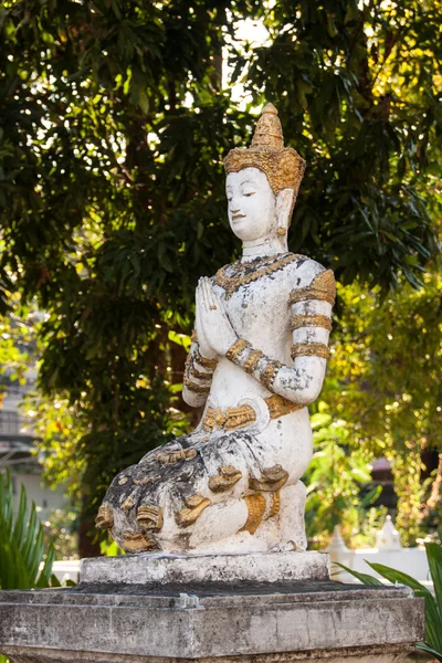 Buddha i chiang mai, thailand — Stockfoto