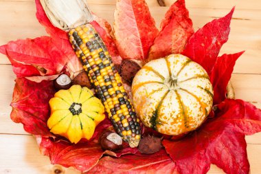 sonbaharın dekorasyon