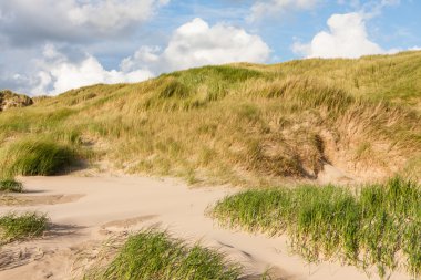 Kuzey denizindeki kum tepeleri