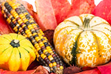 sonbaharın dekorasyon