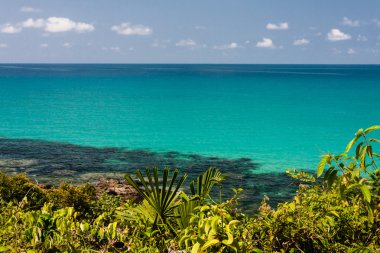 tropisches meer, tropik deniz