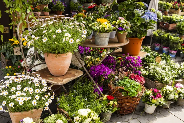 Negozio di fiori — Foto Stock