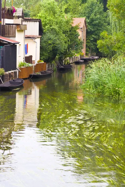 Luebenau çılgınlığı ormandaki Brandenburg, Almanya — Stok fotoğraf