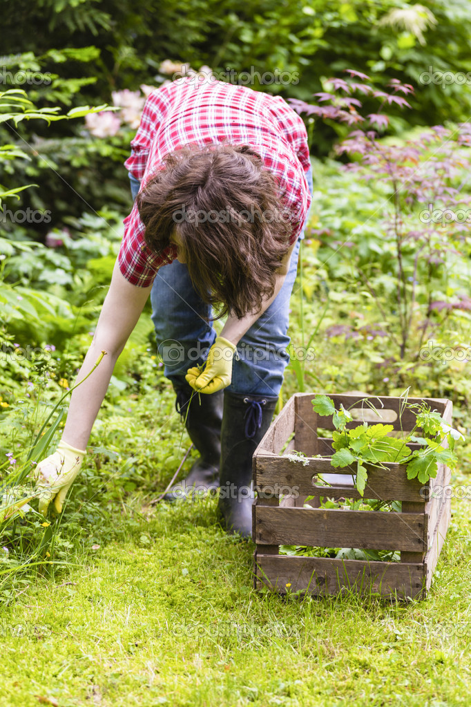 Gardening Stock Photo by ©Copit1606 51679435