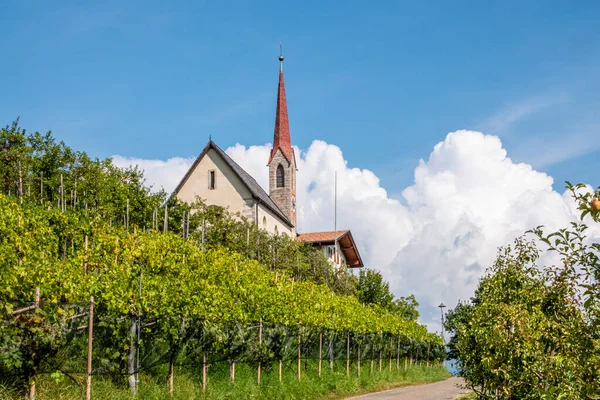 Eglise Villageoise Avec Vignoble Pommier Plantagène Tyrol Sud Italie — Photo