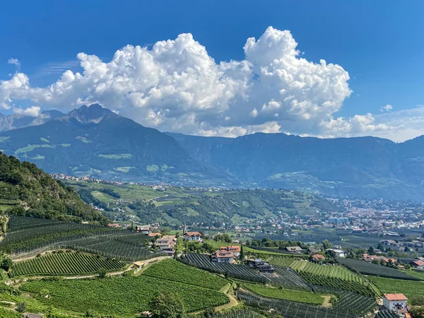 Merano Dorf Tirol Etsch Nehir Vadisi Üzüm Bağlarına Bakın Güney — Stok fotoğraf