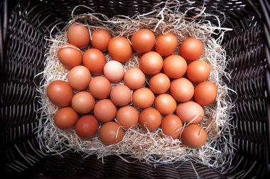 Paskalya yumurtaları