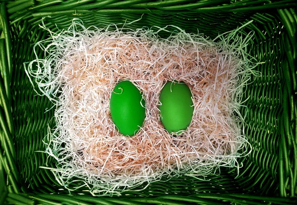 Зеленые пасхальные яйца — стоковое фото