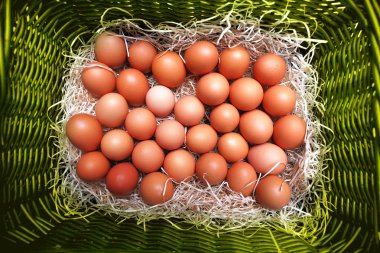 Paskalya yumurtaları