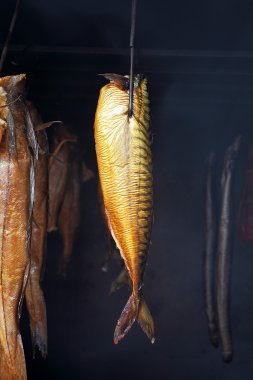 smokehouse gelen deniz balıkları