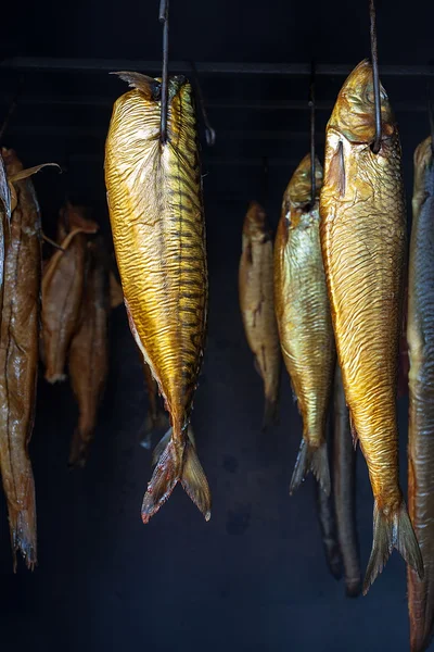 Marine fish from smokehouse — Stock Photo, Image