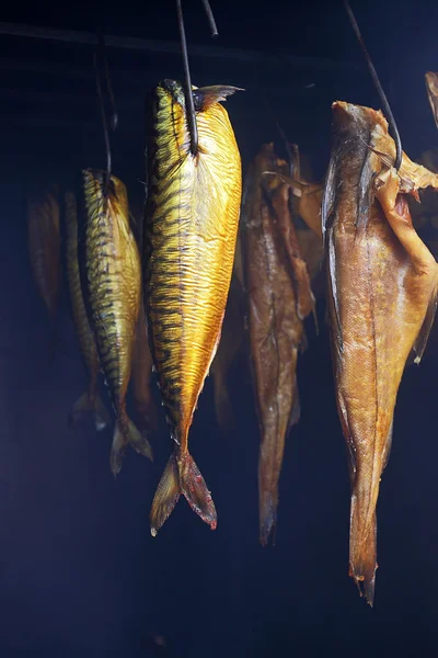 Smokehouse gelen deniz balıkları — Stok fotoğraf