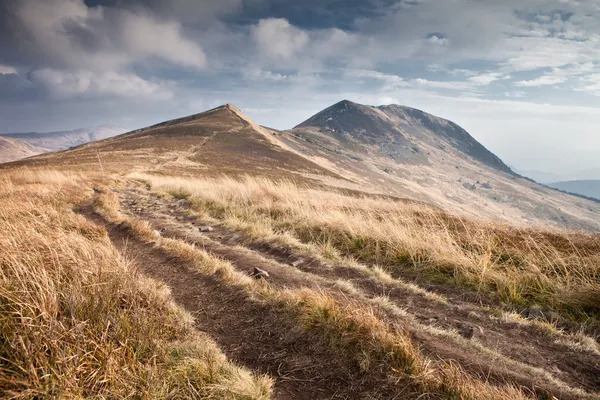 Kilátás Tarnica: Bieszczady-hegység, Lengyelország — Stock Fotó