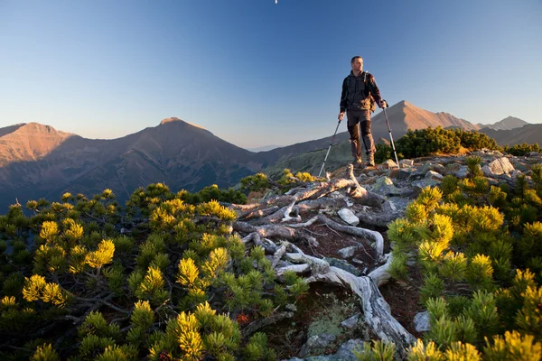 Zonsondergang portret van backpacker — Stockfoto