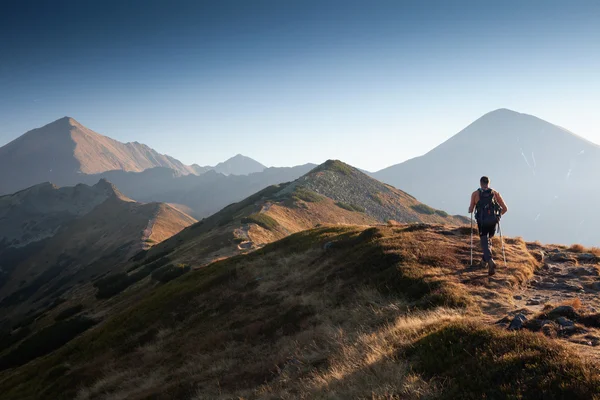 Caminhante nas Montanhas Tatra Fotos De Bancos De Imagens