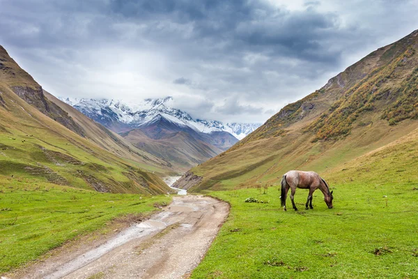 Kaukasus landskap i Georgien — Stockfoto