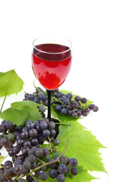 Rotwein und Trauben — Stockfoto