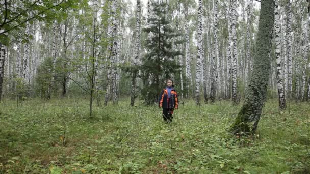 Хлопчик з кошиком — стокове відео