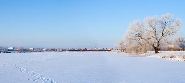 美丽的冬天风景。全景图. — 图库照片