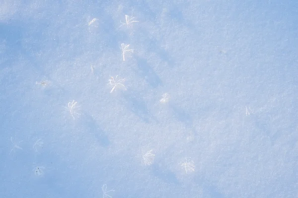 Struktura zima śnieg — Zdjęcie stockowe