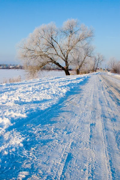 Bellissimo paesaggio invernale. — Foto Stock