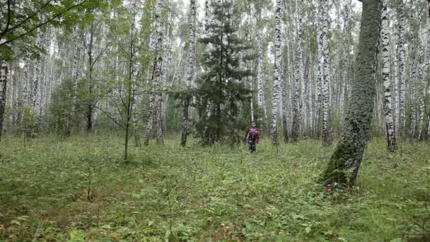 Um rapaz caminha pela floresta — Vídeo de Stock