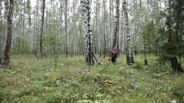 En pojke promenader genom skogen — Stockvideo