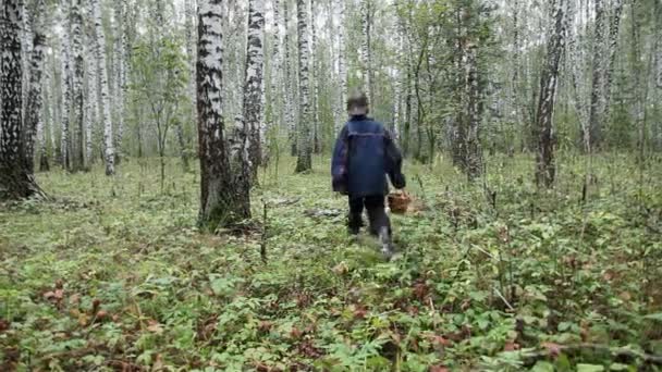 Хлопчик гуляє лісом — стокове відео