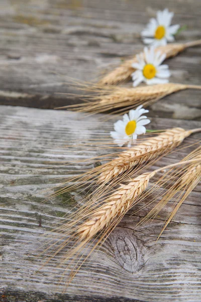 Ears and daisies on a wooden table. — Stock Photo, Image
