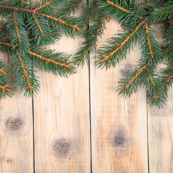 圣诞杉木树 — 图库照片