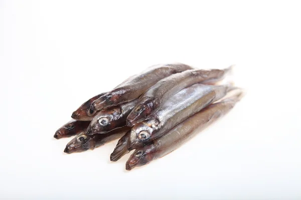 Capelin — Stockfoto