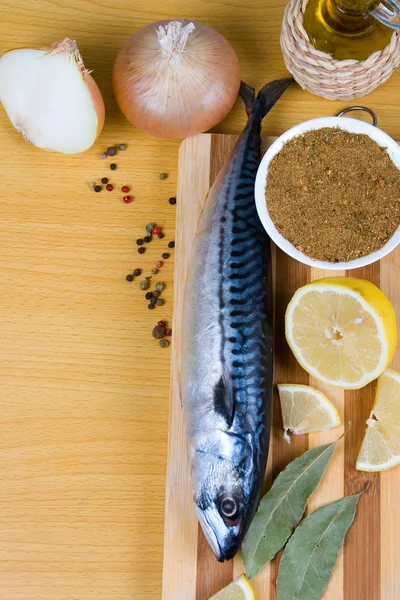 Raw mackerel and spices — Stock Photo, Image