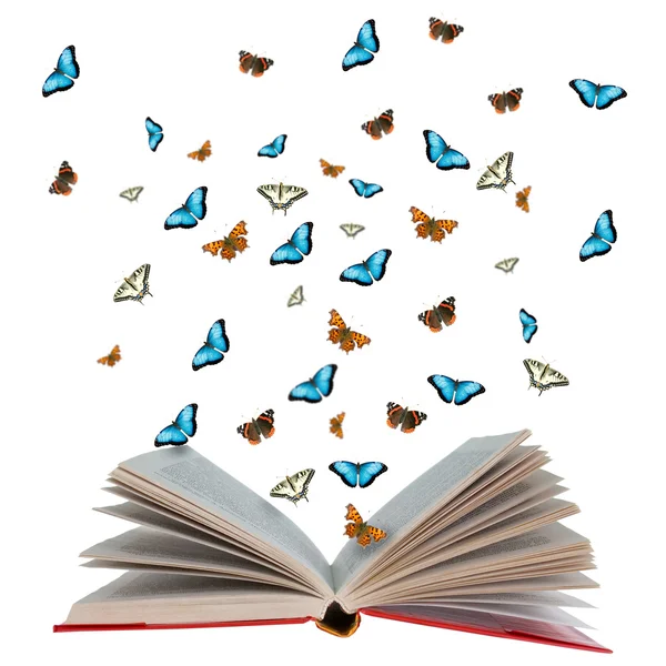 Open book with butterflies flying from it — Stock Photo, Image