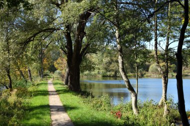 yol Orman Gölü kıyısında