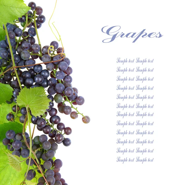 Червоний виноград з листям — стокове фото