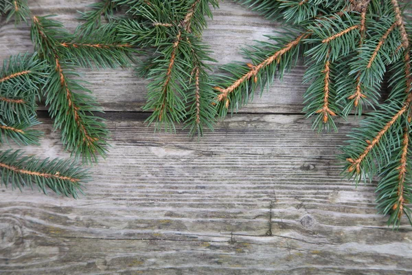 Julgran Gran — Stockfoto